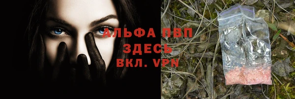 гашик Белокуриха