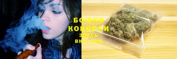 гашик Белокуриха