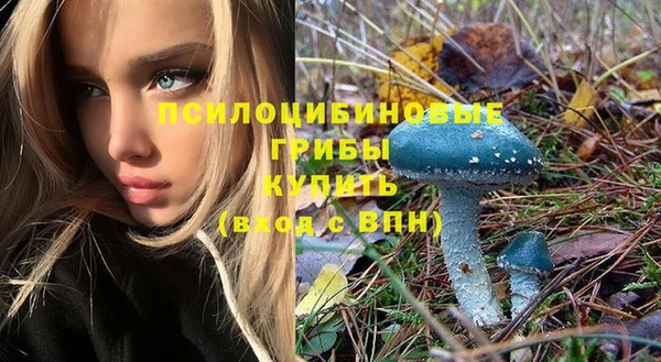 гашик Белокуриха