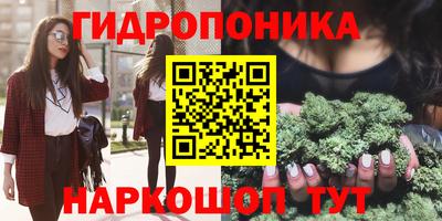 СК Балашиха