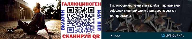 Галлюциногенные грибы GOLDEN TEACHER Воскресенск